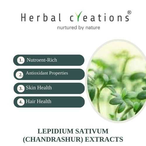 Herbal Creations is a supplier of Lepidium sativum (chandrashur) Extracts